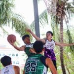 Programs 12 Young basketball players competing in an outdoor game under palm trees.